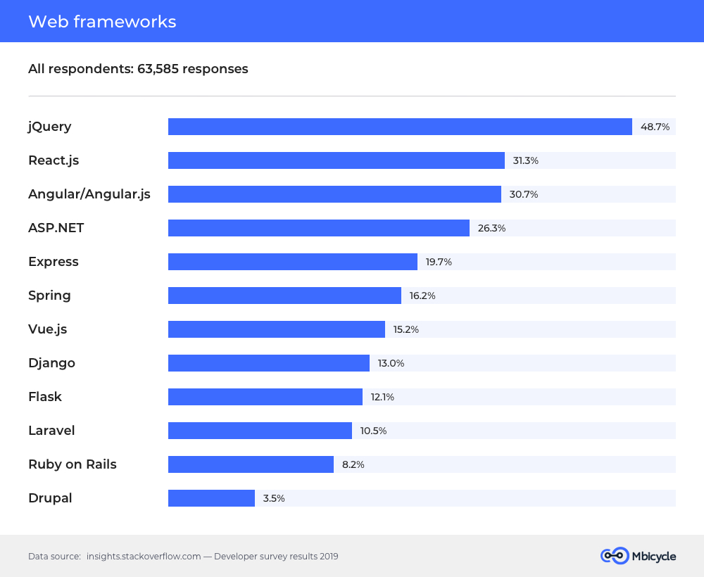 Professional developers survey